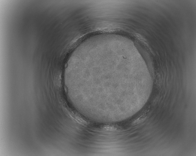 X0000067470596200604281856