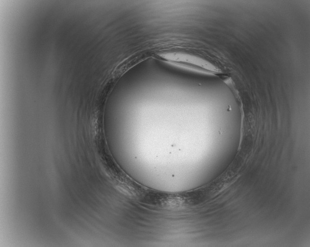 X0000067470600200604281856