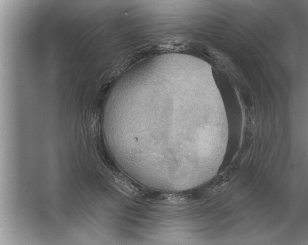 X0000067470601200604281856