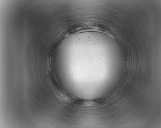 X0000067470605200604281856