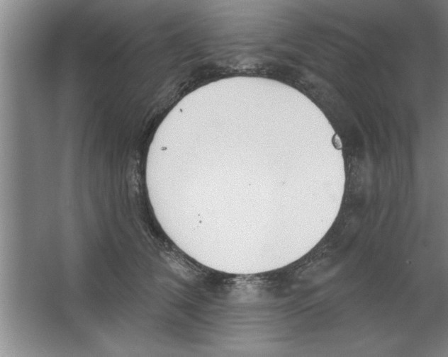 X0000067470612200604281856