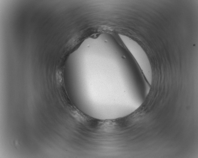 X0000067470621200604281856