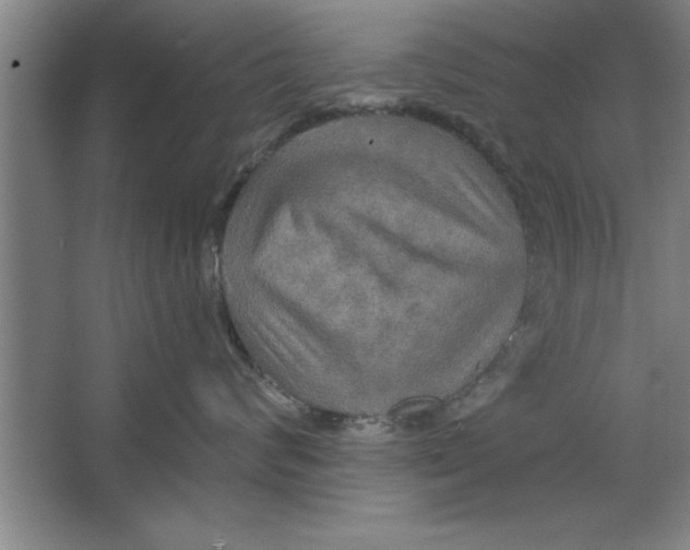 X0000067470624200604281855