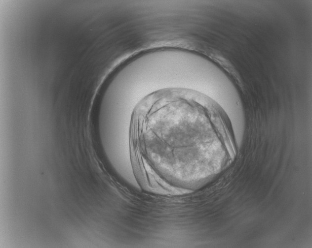 X0000067470628200604281855