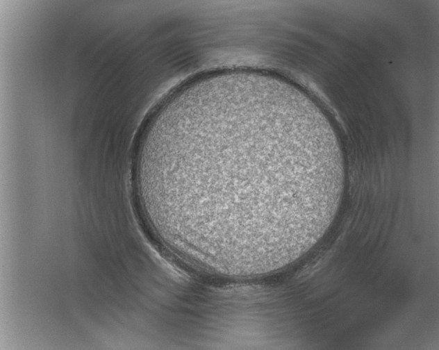 X0000067470629200604281855