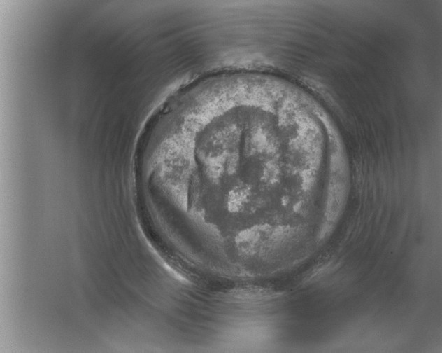 X0000067470630200604281855