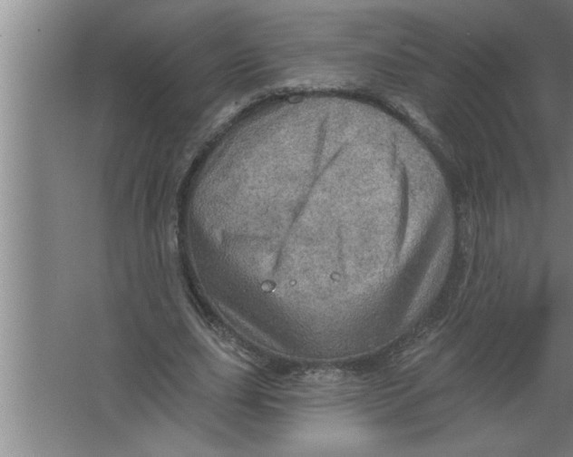 X0000067470631200604281855