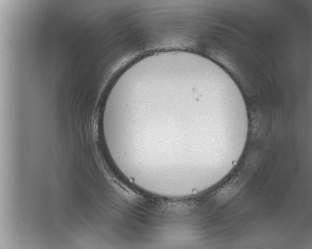 X0000067470632200604281855