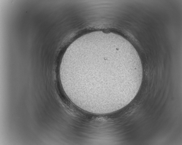 X0000067470635200604281855