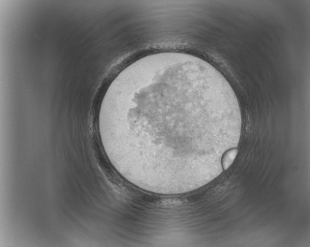 X0000067470636200604281855