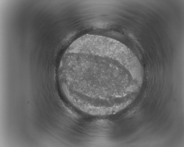 X0000067470637200604281855