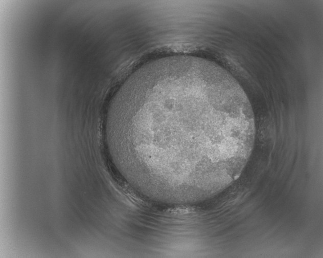 X0000067470639200604281855