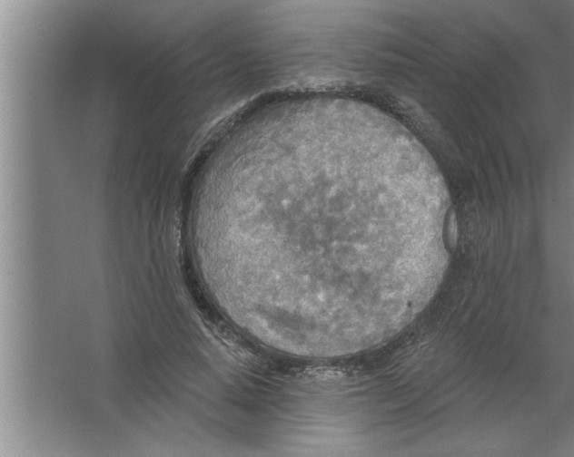 X0000067470640200604281855