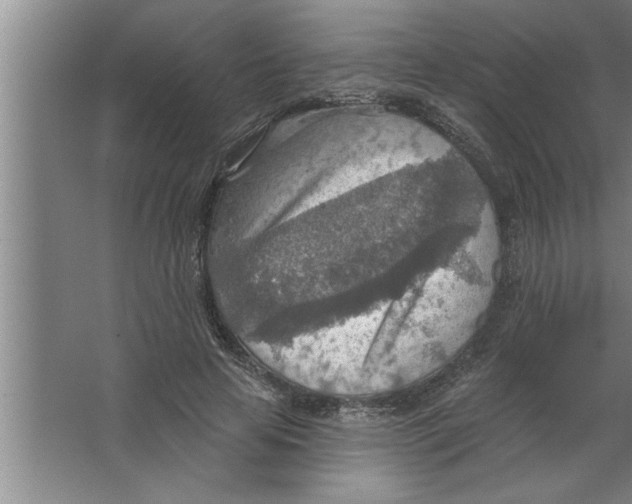 X0000067470641200604281855