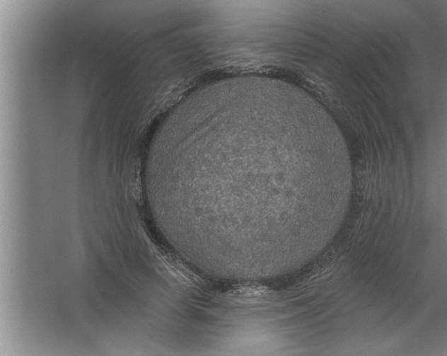 X0000067470642200604281855