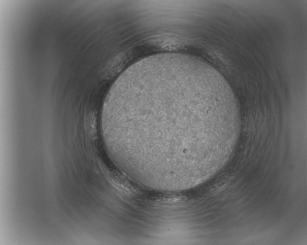 X0000067470646200604281855