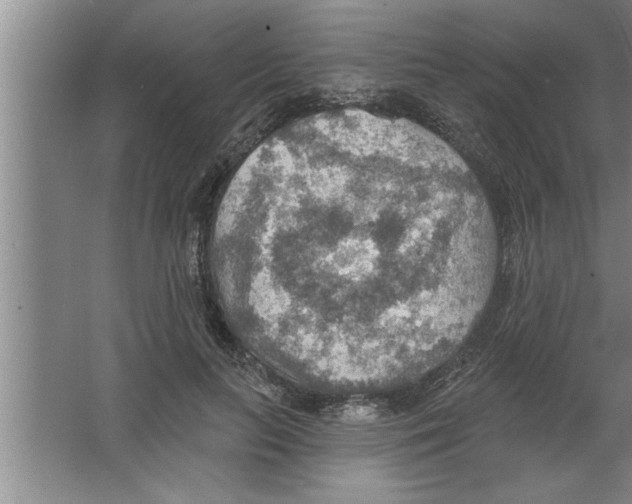 X0000067470647200604281855