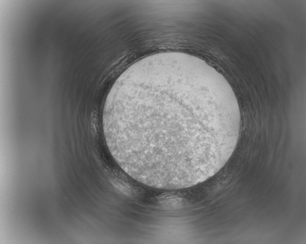 X0000067470648200604281855