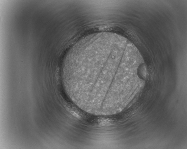 X0000067470650200604281855