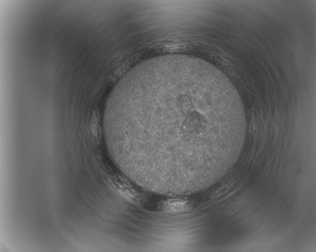 X0000067470651200604281855