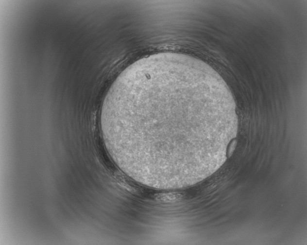 X0000067470652200604281855