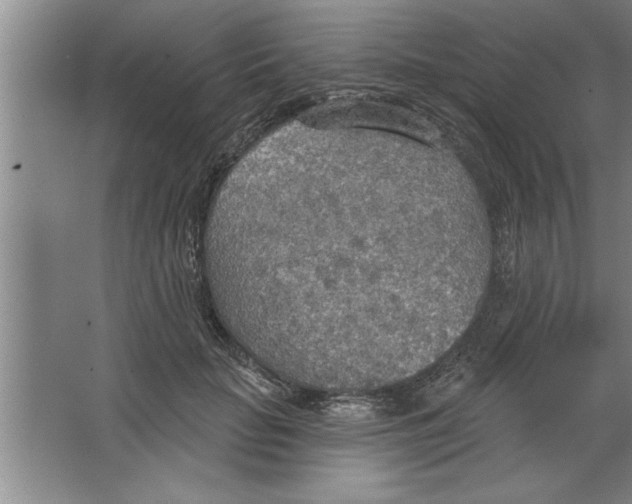 X0000067470653200604281855