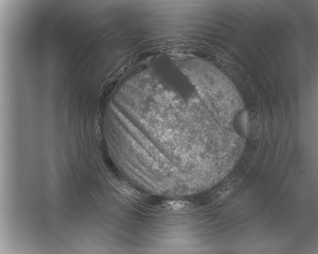 X0000067470654200604281855