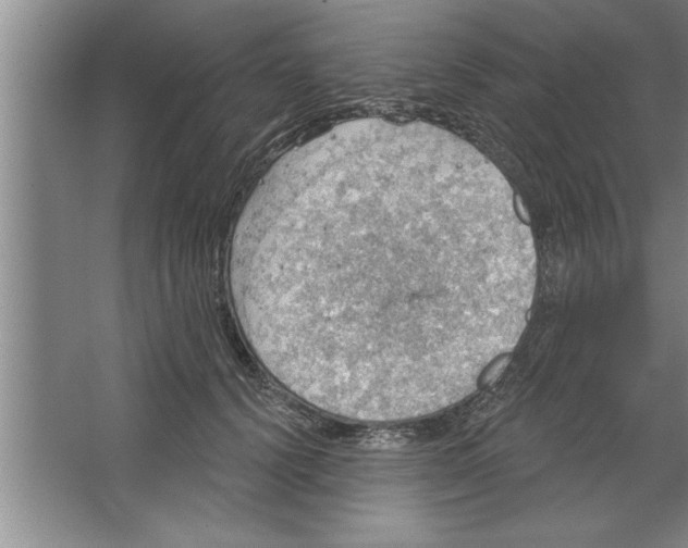 X0000067470656200604281855