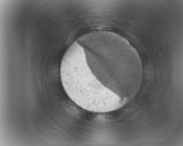 X0000067470657200604281855