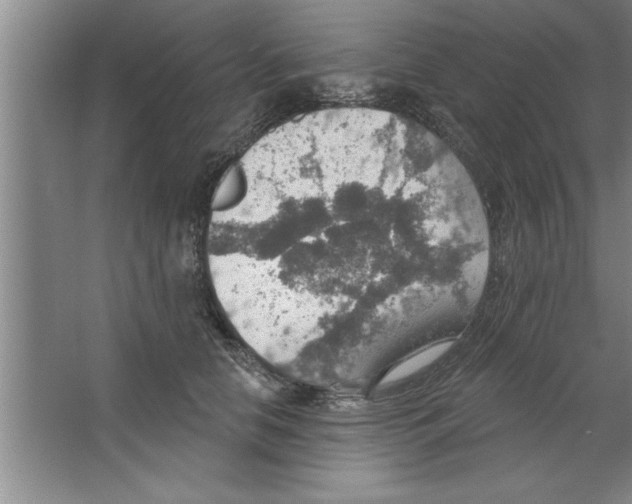 X0000067470658200604281855