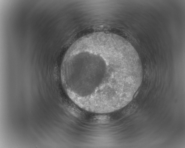 X0000067470659200604281855