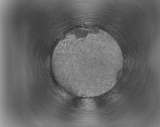 X0000067470660200604281855