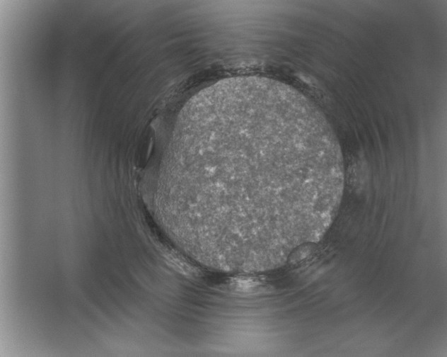 X0000067470662200604281855