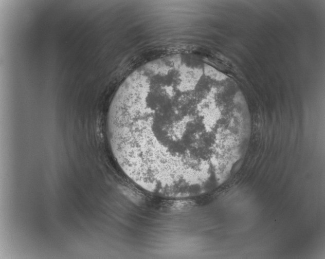 X0000067470663200604281855