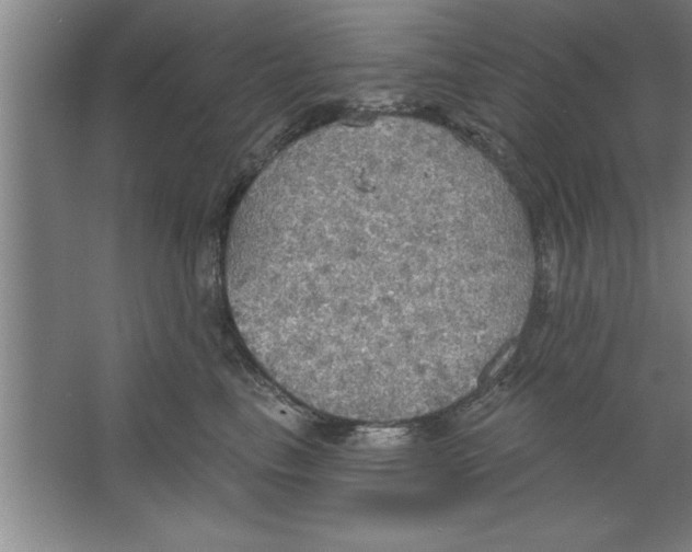 X0000067470665200604281855