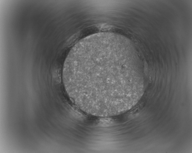 X0000067470666200604281855