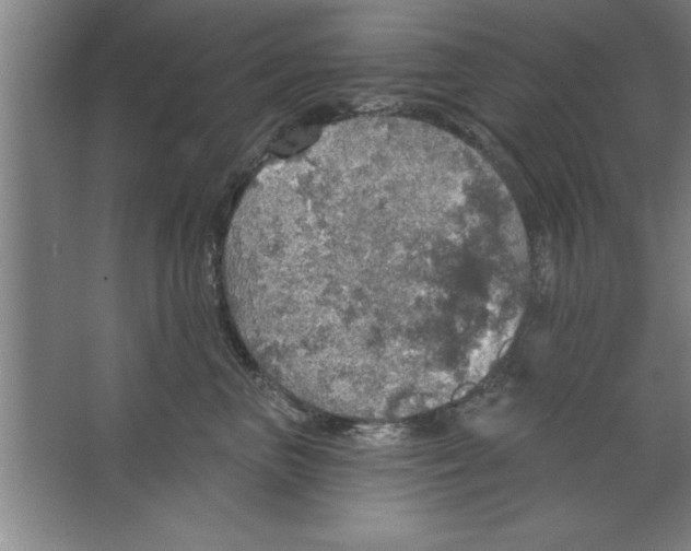 X0000067470667200604281855