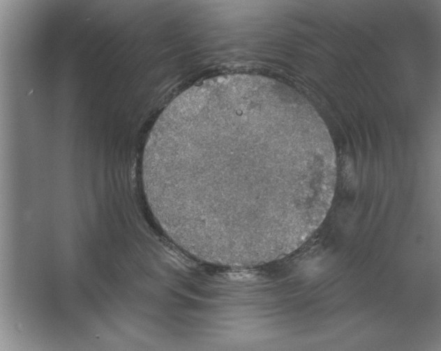 X0000067470668200604281855