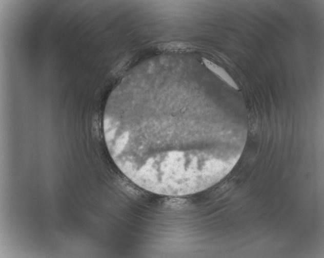 X0000067470669200604281855