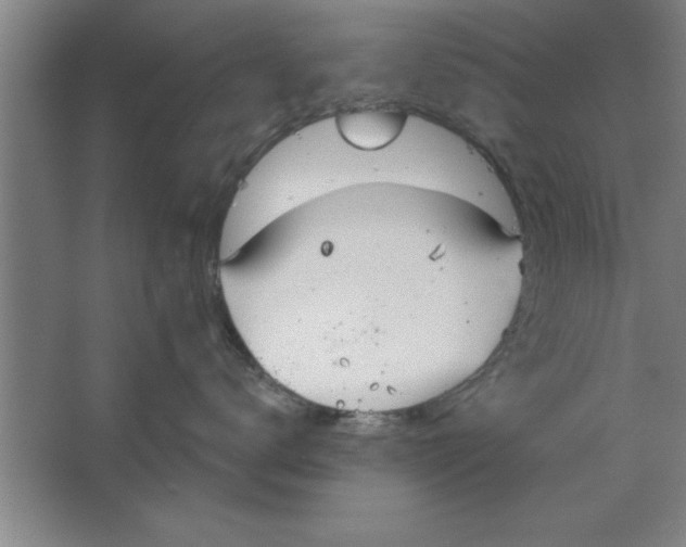 X0000067470672200604281855