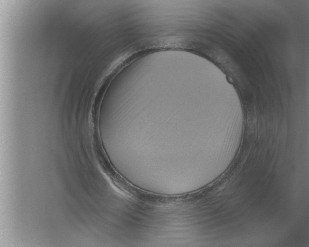 X0000067470674200604281855