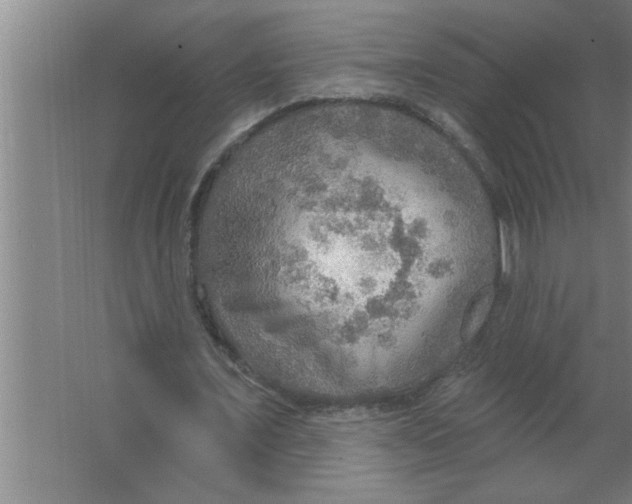 X0000067470675200604281855