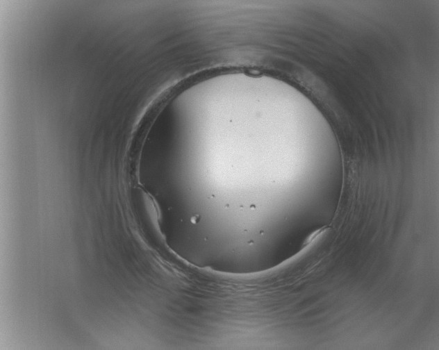 X0000067470676200604281855