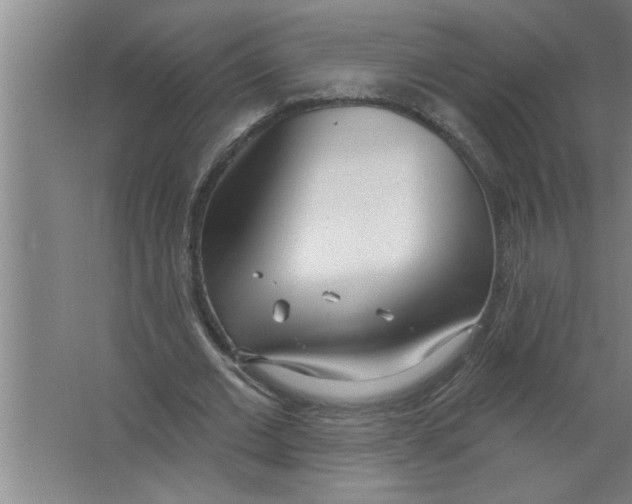 X0000067470677200604281855