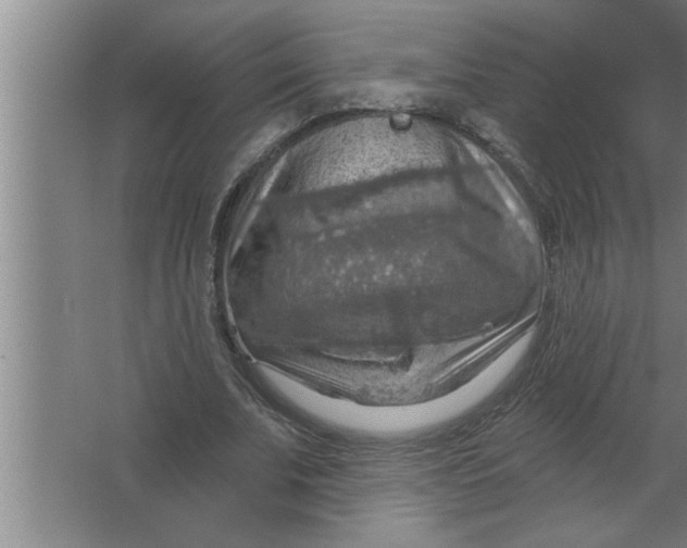 X0000067470679200604281855