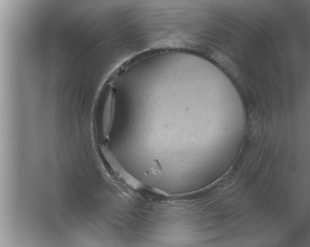 X0000067470680200604281855