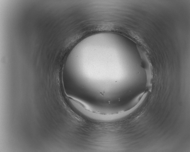 X0000067470681200604281855