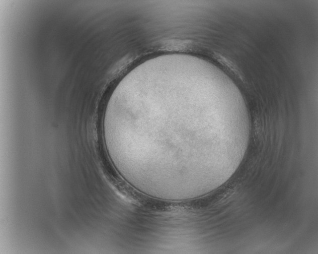 X0000067470682200604281855