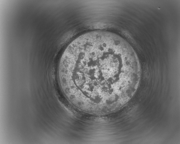 X0000067470683200604281855