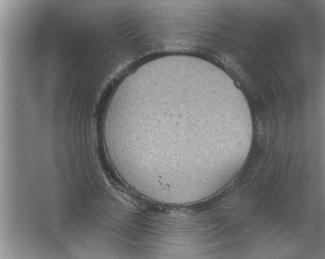 X0000067470684200604281854